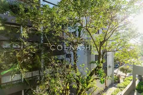 Apartamento · 3 dormitórios em Petrópolis — miniatura 8