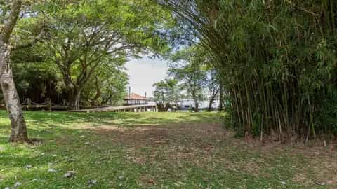 Terreno no Ilha das Flores — miniatura 14