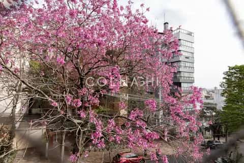 Apartamento · 3 dormitórios na Bela Vista — miniatura 11