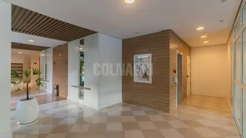 Apartamento · 3 dormitórios no Passo da Areia — miniatura 14