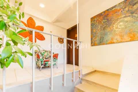 Casa · 3 dormitórios em Petrópolis — miniatura 5