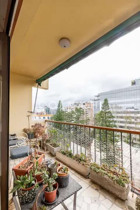 Apartamento · 3 dormitórios no Mont Serrat — miniatura 8