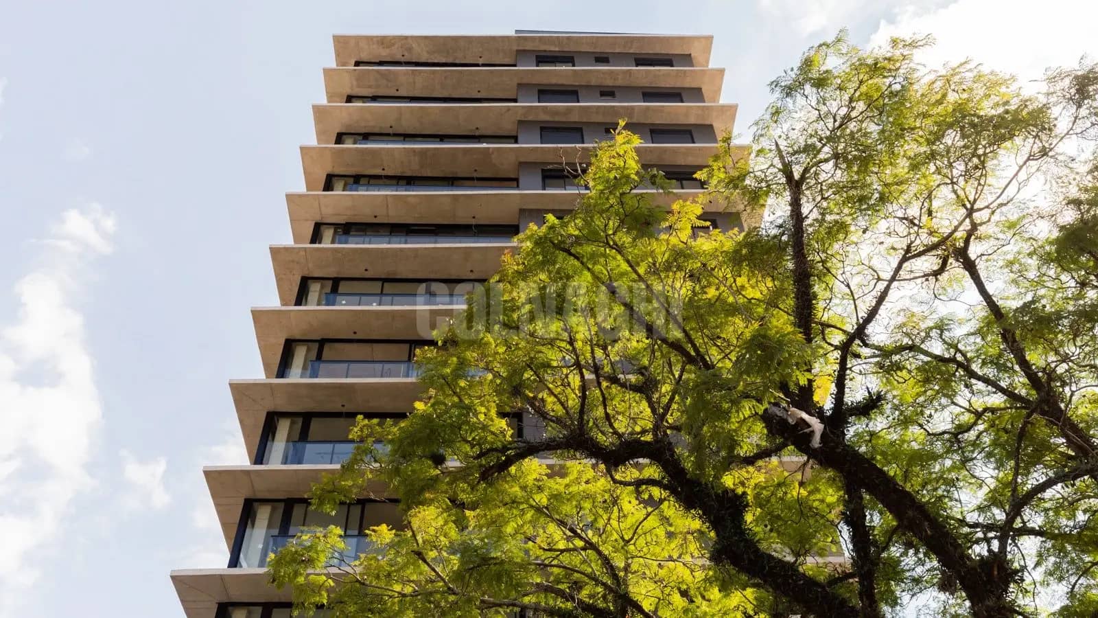 Apartamento · 3 dormitórios no Rio Branco — Foto 1