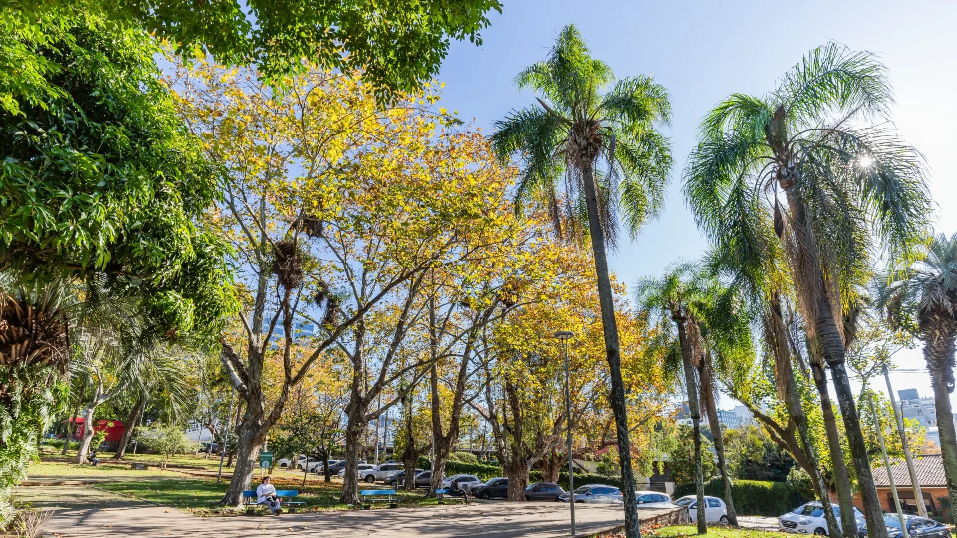 Bairro Higienópolis, Porto Alegre