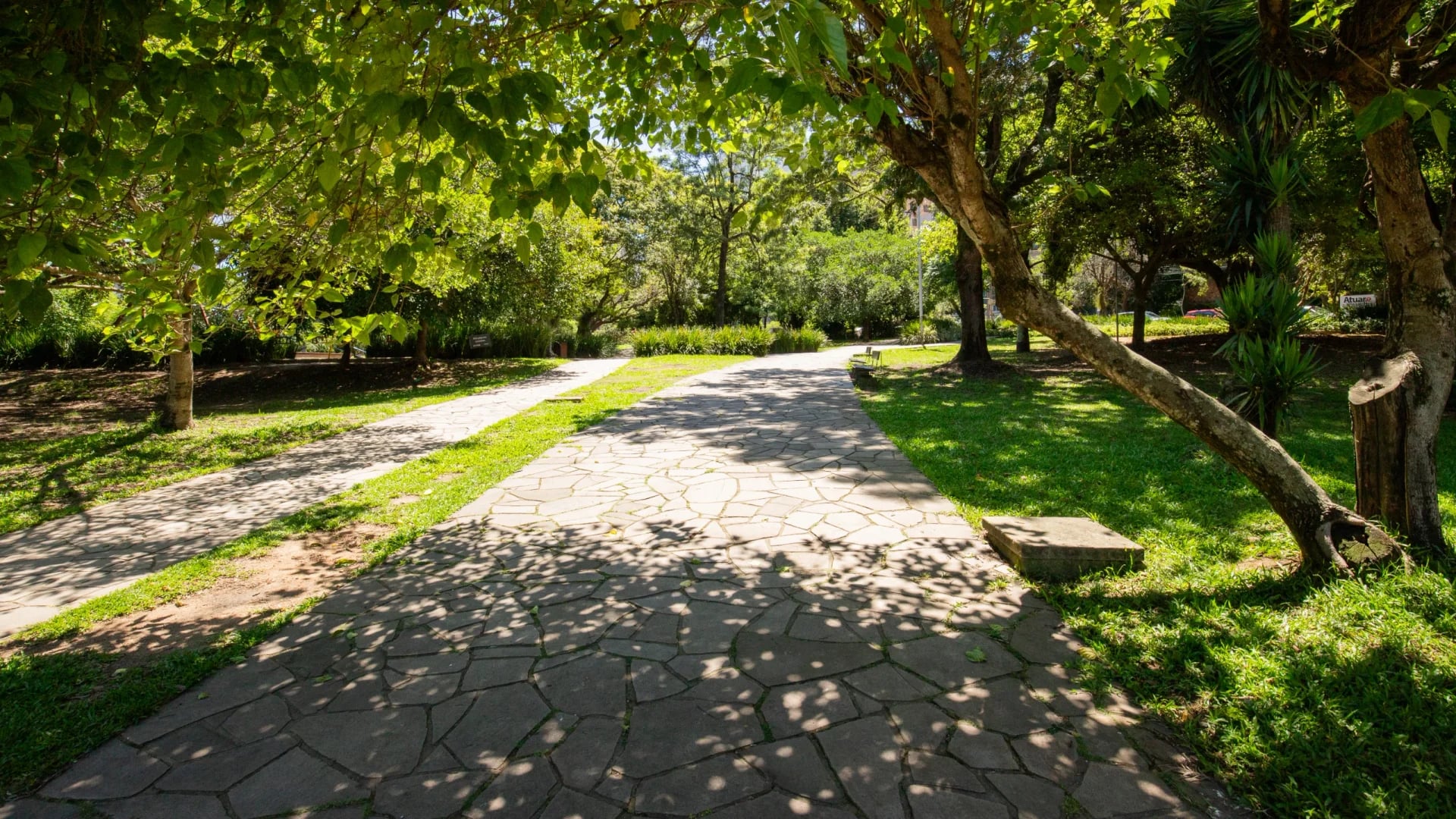 Bairro Petrópolis, Porto Alegre